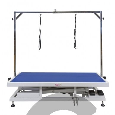 Upper Stalas su elektriniu pakėlimu, 125cm x 65cm 10