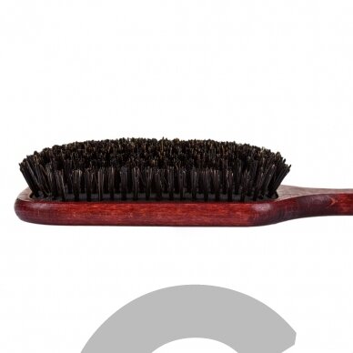 Blovi Red Wood Brush 24,5cm - itin didelis medinis šepetys su natūraliais šeriais, skirtas trumpaplaukėms ir (arba) švelniaplaukėms veislėms 3