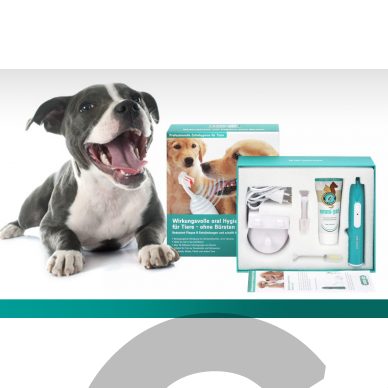 Emmi-Pet Basic Set - profesionalus ultragarsinis dantų šepetėlis gyvūnų dantų akmenims šalinti 7