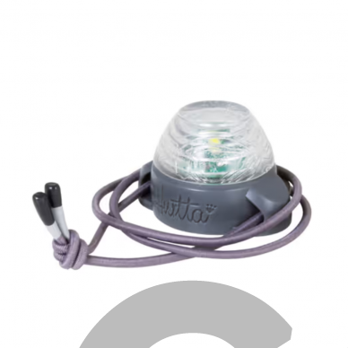 Hurtta Nordic Led Light - LED žibintuvėlis šunims- baltas