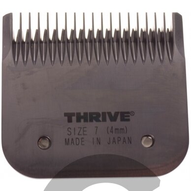 Thrive Professional Blade #7 -Kirpimo galvutė aukštos kokybės 4 mm Snap-On