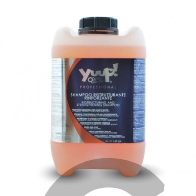 Yuup! Professional Restructuring and Strengthening Shampoo - profesionalus, plaukus atstatantis ir juos stiprinantis,  šampūnas. Talpa: 10l